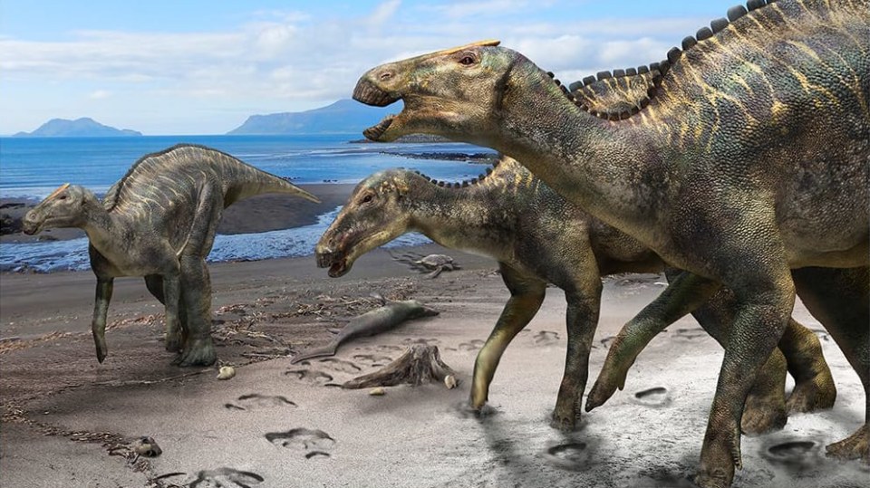 Hypotetická ekologická scéna se zástupci rodu Kamuysaurus.
